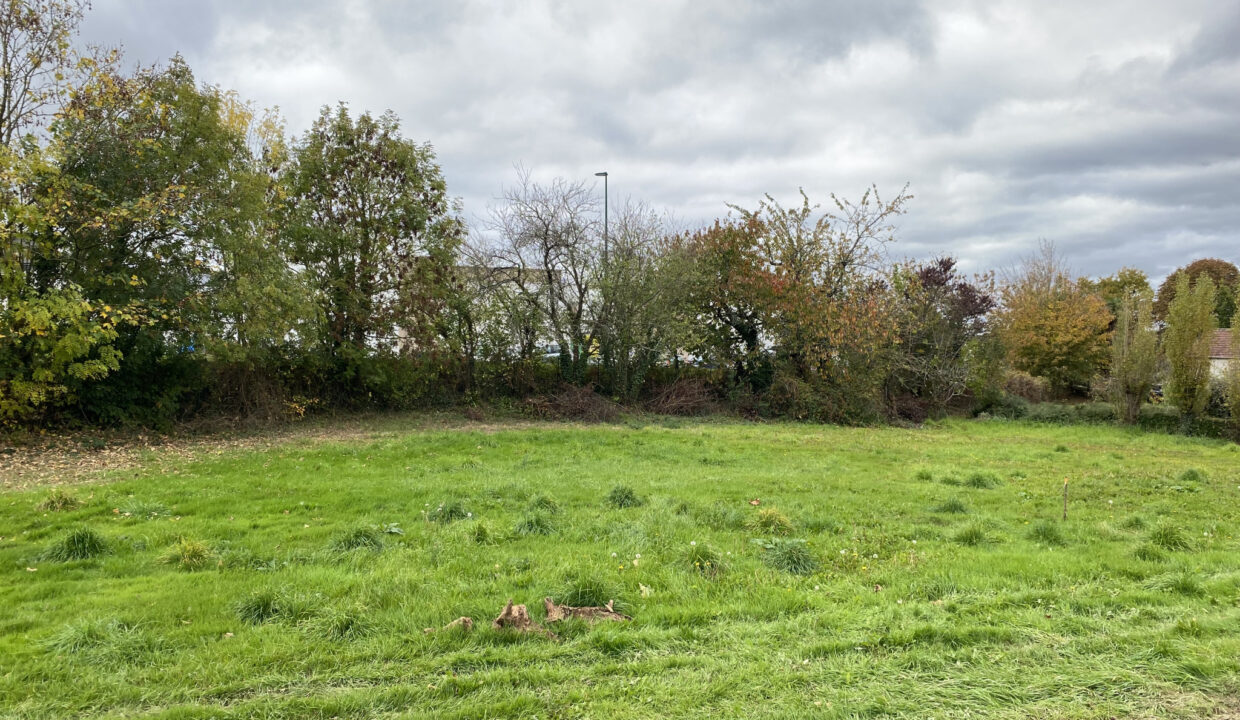 photo_abf5cb0c5ea8028e43d50fbe6958e87d