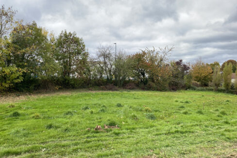 photo_abf5cb0c5ea8028e43d50fbe6958e87d