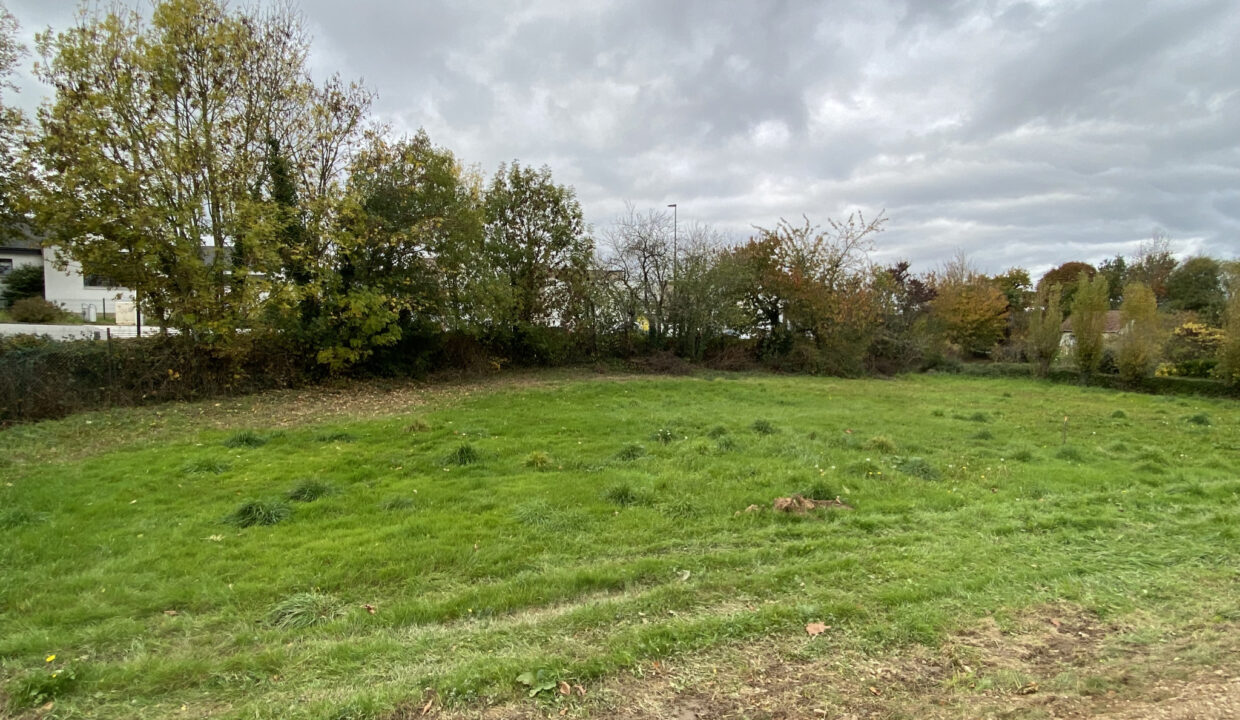 photo_af8d88ebad5dd0722c6a15c314726300