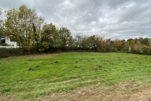 photo_af8d88ebad5dd0722c6a15c314726300