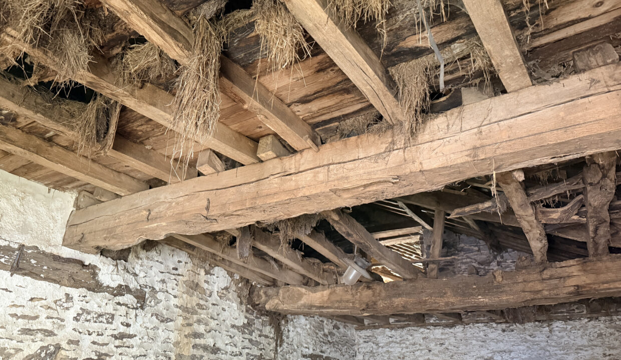 photo_0d46d65f366b881755ad46d9cde2c123