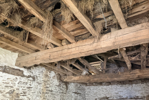 photo_0d46d65f366b881755ad46d9cde2c123