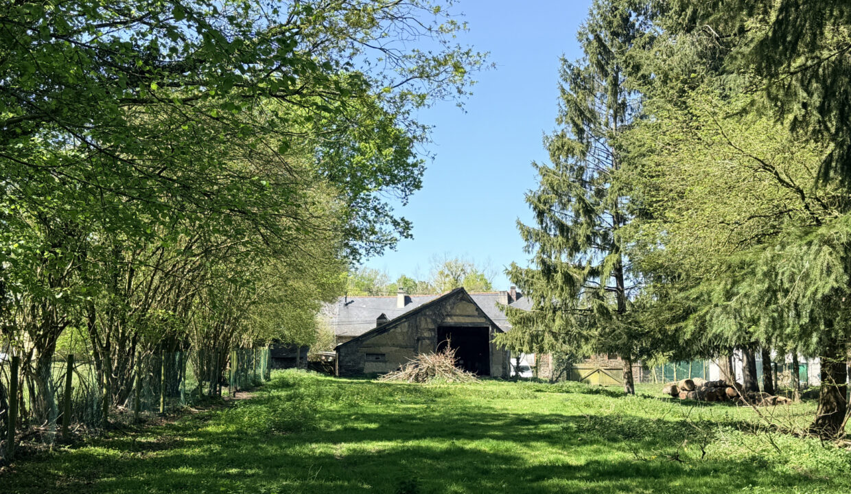 photo_1c9b8fe10f5d2be396719d69eb29e323