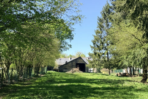 photo_1c9b8fe10f5d2be396719d69eb29e323