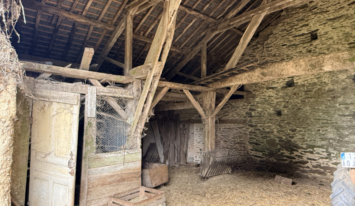 photo_392ddca9eb1368aa3309ee920e723fdd