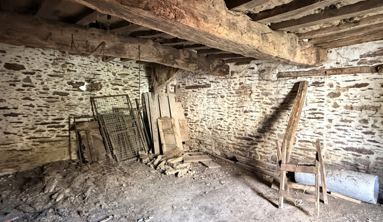 photo_3f31de69af72b3cc25684513a9e3e7d6