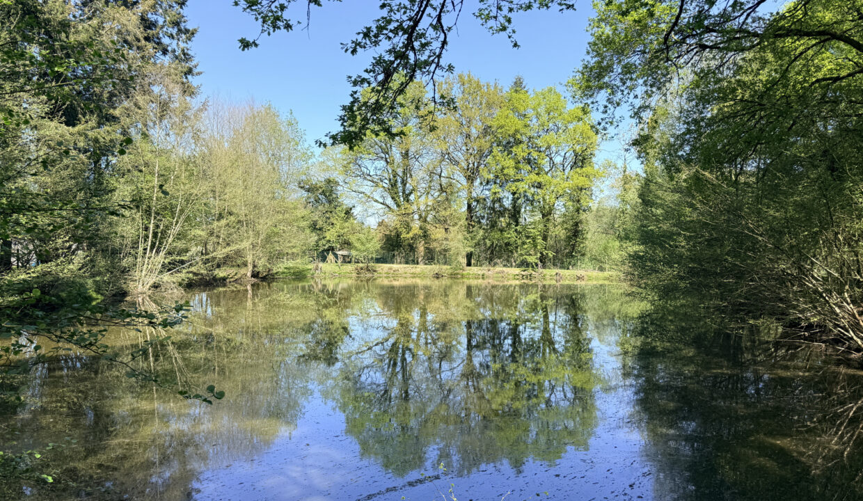 photo_6eca804661b73942bdc797e2acc94390