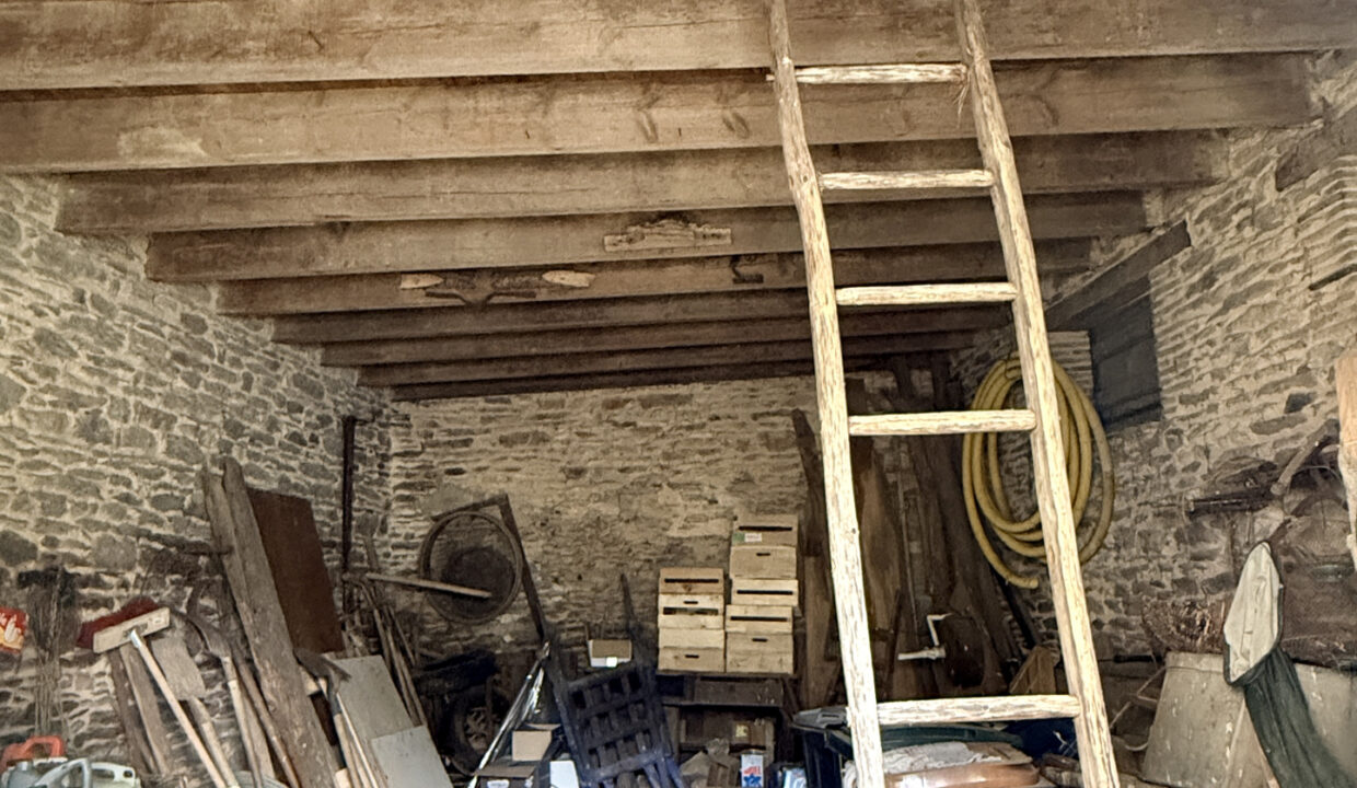 photo_8b77d7a476a8d0546c5395386d524c82