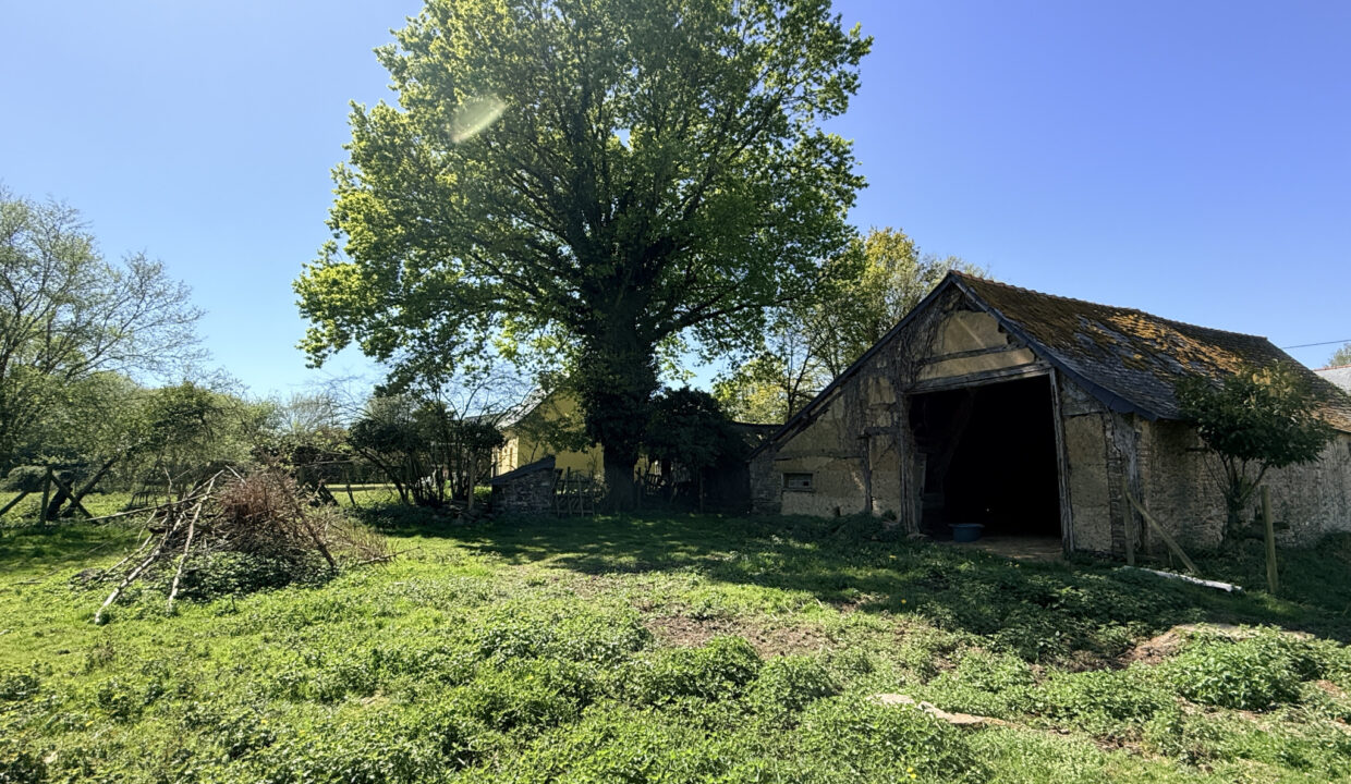 photo_c60a55e1e6e92c4eff462bd9c14bc35b